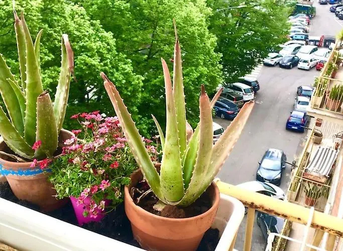 Apartmán La Tua Casa Romana Řím